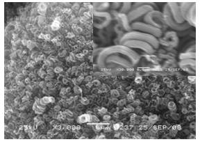  Рис. 5. Микроскопический снимок углеродных микропружин, полученных разложением 1,2-дихлорэтана